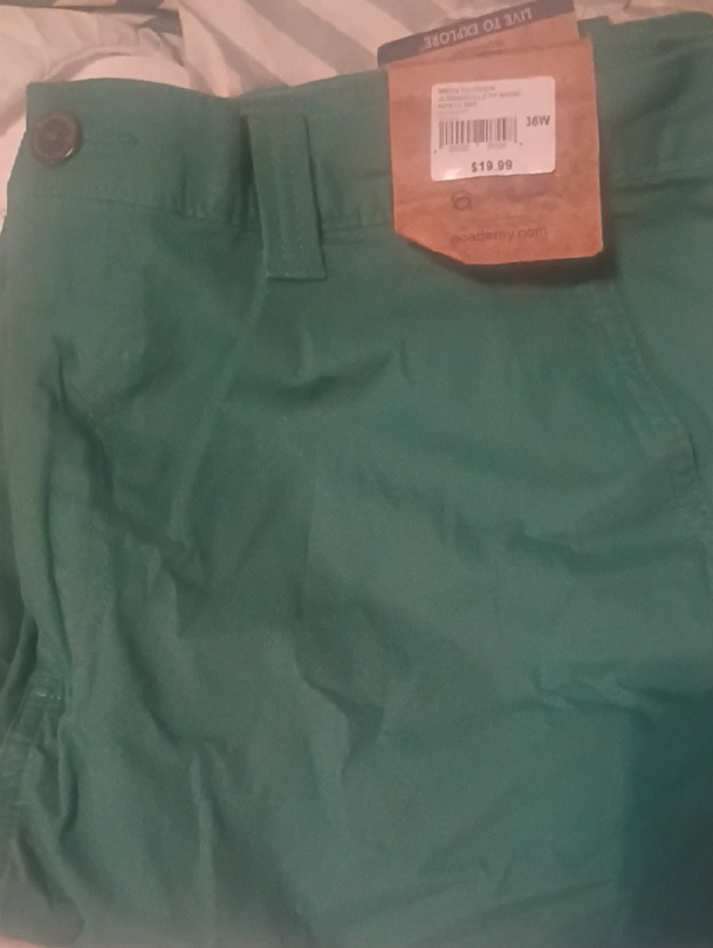 Green High-Rise Casual Shorts